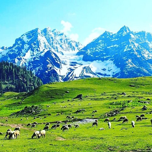 kashmir
